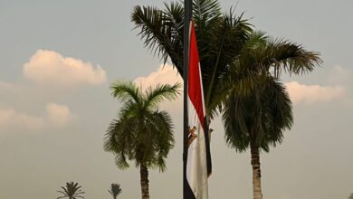 إعلان-الحداد-وتنكيس-الأعلام-بجامعة-القاهرة-ترحما-على-أرواح-الشهداء-فى-غزة-تنفيذًا-للقرار-الرئاسي-بإعلان-حالة-الحداد-العام-بمصر