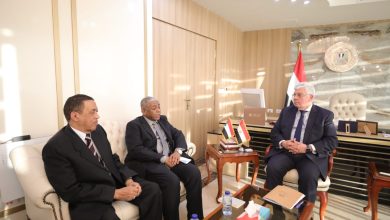 وزير-التعليم-العالي-يلتقي-السفير-السوداني-بالقاهرة-لبحث-سبل-التعاون-المشترك-بين-البلدين
